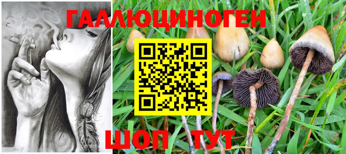 Псилоцибиновые грибы мицелий  купить закладку  Тимашёвск  Вход с VPN 